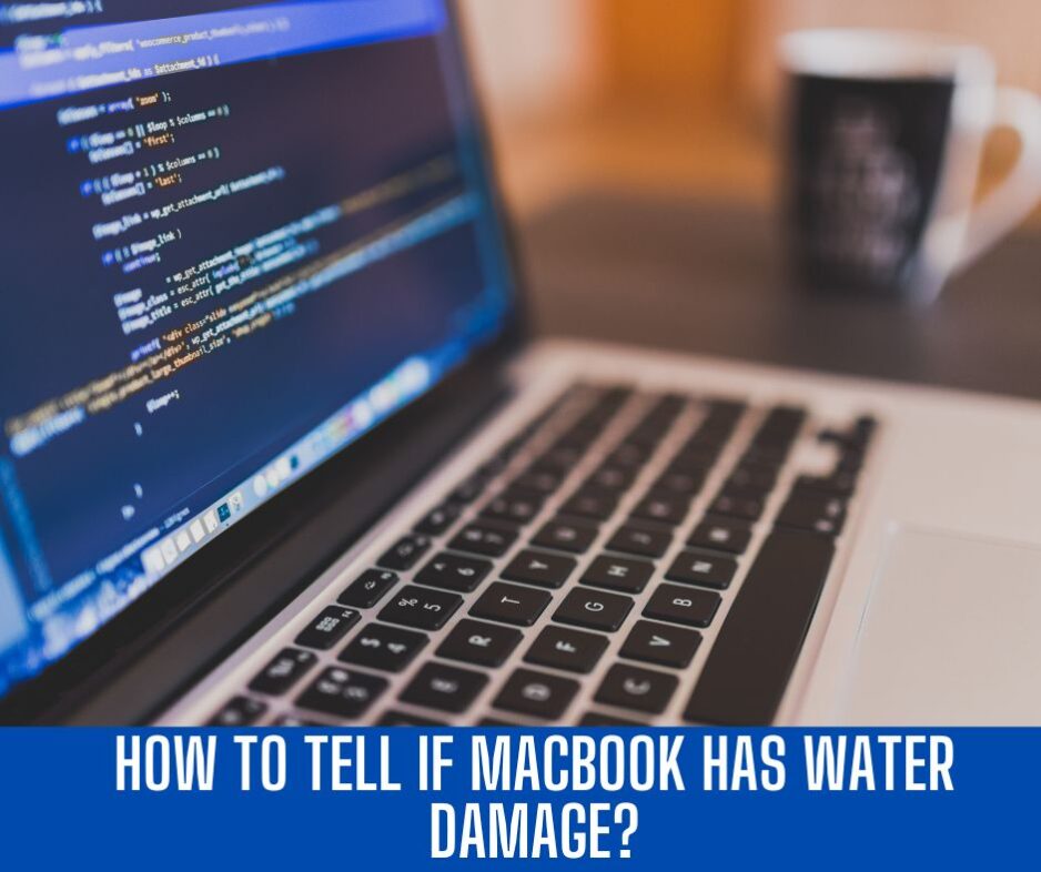 How To Tell If MacBook Has Water Damage? Detailed Guide